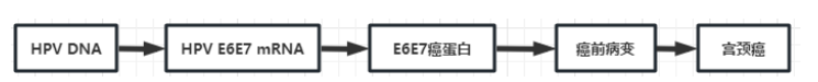 640 (1)